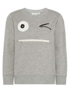 Name It Facool Grå SweatTröja med Tunga EKO