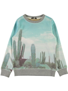 Name It Sweatshirt Joey Kaktusar