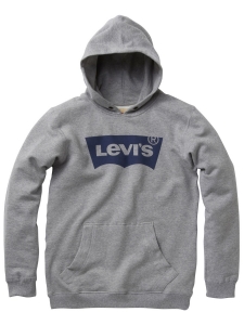 LEVI'S LUVTRÖJA Batsweat Grå 86-176 cl